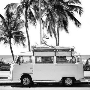 Meet your Posher, Sam